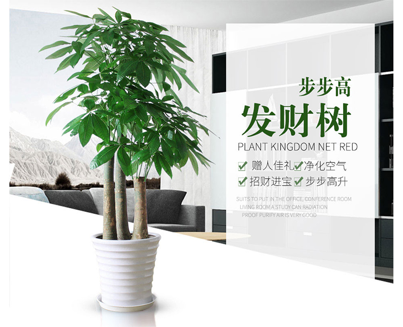 步步高大三桿發財